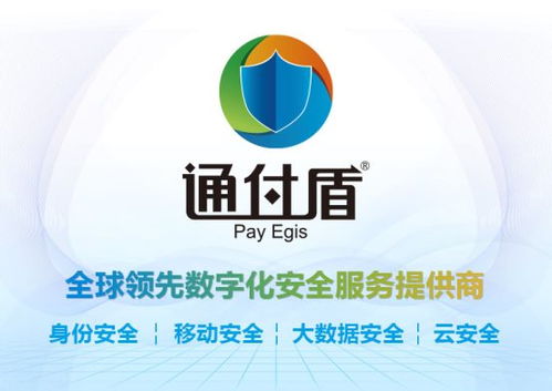 数据安全防线的实战落地 甫嘉信息为企业与个人隐私构筑双重护盾