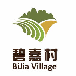 嘉村与甫嘉信息 企业信息查询的透明度之路
